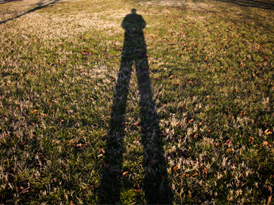 What the groundhog saw.