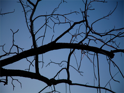 Yes, this IS the best I could do.