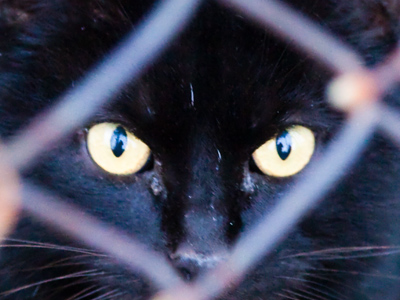 See me reflected in there?