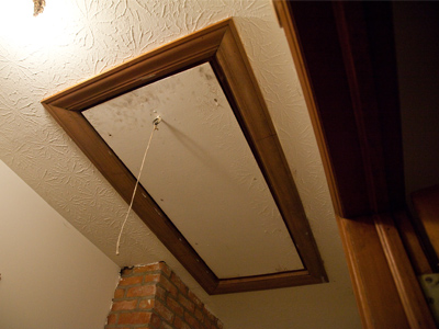 There`s something up there in the attic - something that doesn`t want to be there.  It could be a long, noisy night.