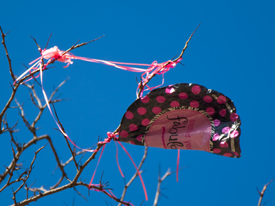 New rule:  everybody has to dispose of their garbage on their own property.  This might stop them from buying junk, assuming it will just disappear when they`re done with it.