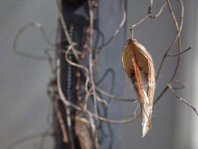 The purpose of our existence is hidden within this image.