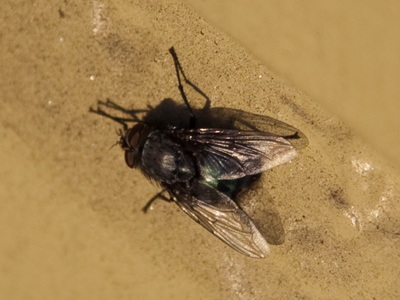 No offense or anything, but you shouldn`t be alive.