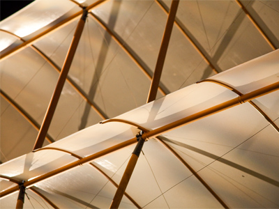 Early pilots were carried aloft by wood, canvas and faith.