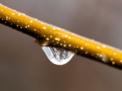 And after that, it rained.