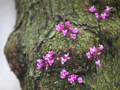 My skin tends to get rough and break out this time of year.