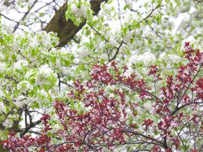 I dunno - do you think these colors go together?