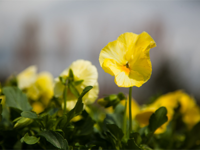 Emerging from hibernation, today I taught a photography workshop to a large group of camera enthusiasts.