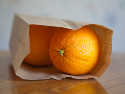 For the artist`s next citrus project (see March 25 above).