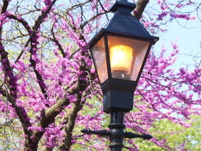 It`s my favorite time of year.