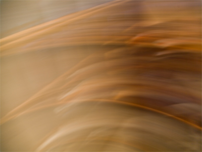 The bookshelf in my living room.