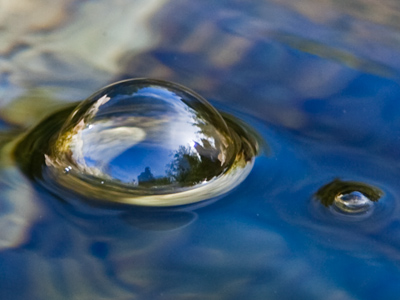 Fragile proof of my fragile existence.