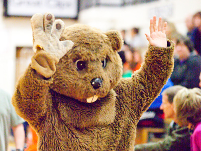 Poor Bucky the Battling Beaver has lost one of his paws.