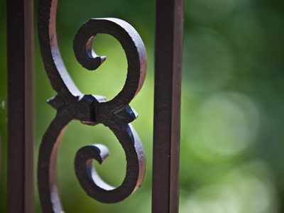 Photo number 3 for today.