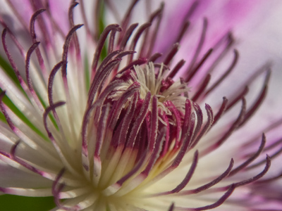 Layer upon layer of complexity.  Consider the implications.