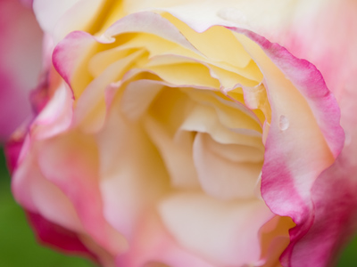 The rain washed away the colors.