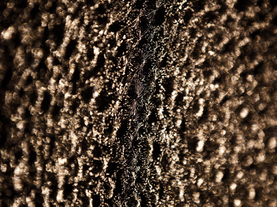 My hallway window at night.