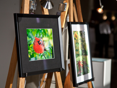 Who will buy my sweet red cardinal?  (See January 13, 2012)