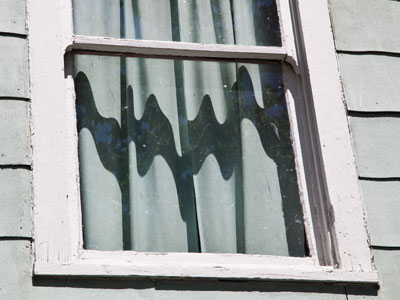 Shadows of stuff, part 2.