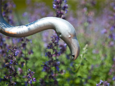 An extremely rare silver flamingo.