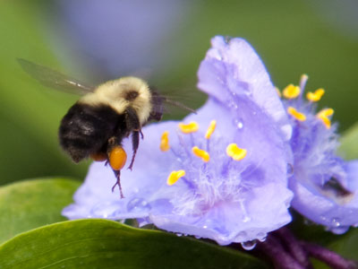 Such an enviably simple life.  Such a unenviably short life.