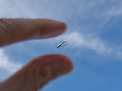 Couldn`t catch this one.