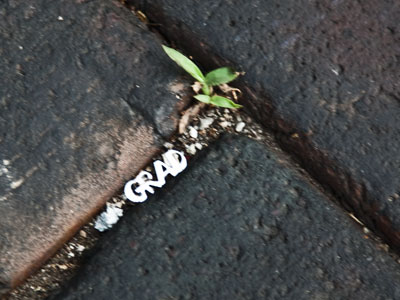 Congratulations, class of 2012!