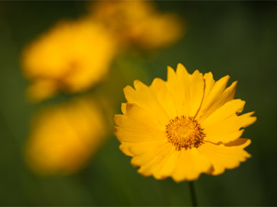 There`s so much I don`t know, but I know how to do this.