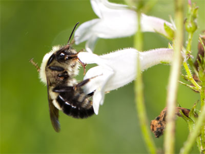 Some of the light here came from 93,000,000 miles away.  Some of it came a few inches from my left hand.