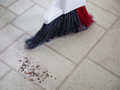 I have two articles to write and many other things to do . . . and so I sweep the kitchen floor.  And then take a picture.