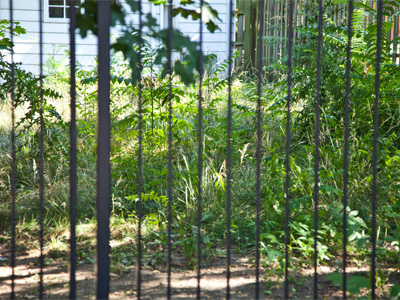 Despite appearances, someone lives here, while the abandoned house beside it has a neatly mown lawn.