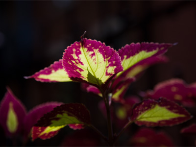 Taken at ankle level.