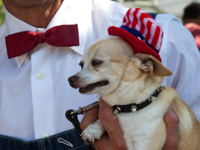 Naturalized citizens are often more patriotic than natives.