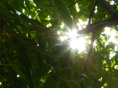 What one hundred degrees looks like.