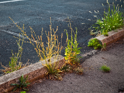 Not a very promising spot for a sunset photo . . . 