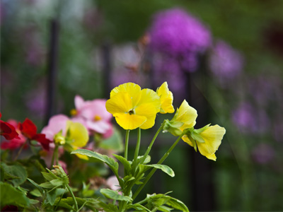 Walking around in the hot sun I was fine.  It was only when I stopped and took this picture that I started to sweat.