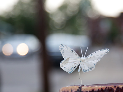 A moment after shooting this [fake] butterfly, a squirrel tumbled out of a nearby tree, shook itself and then assumed an attitude like, `I totally MEANT to do that.`