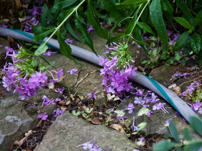 Everything was fine - until it started to rattle.