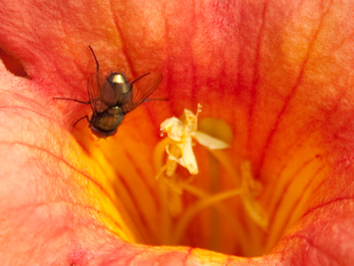 On the edge of oblivion.