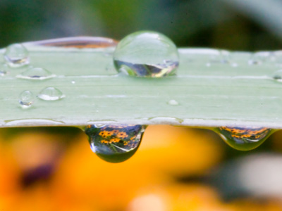 I don`t think I`ve ever worked so hard for one photo before.