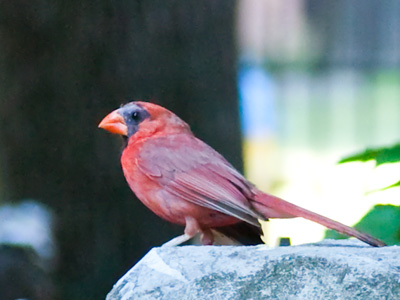 Just Another Picture B.