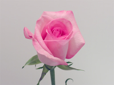 This closet is the only place that doesn`t have a window, and is therefore not affected by changing daylight.