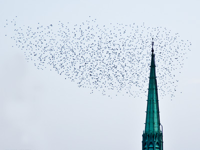 A lot of times I look hard for pictures and don`t find them.  On other occasions, they find me.