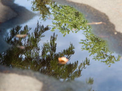 Sometimes, days later, I wonder why I took certain photos.