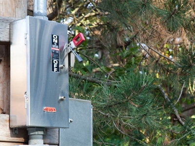 Last one out at night, remember to turn off the forest.