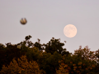 Trapped in the moon`s gravity, the ball is gone forever.