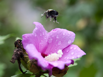 The rainy morning was followed by a gloomy afternoon.