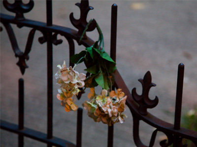 Hey, you got some flowers from Wilt.  Wilt -- get it?