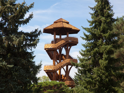 Wait, did I just see an ewok?