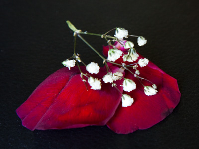 Remnants of last night`s homecoming in my camera bag.